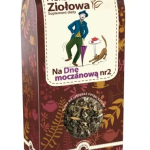 Herbatka ziołowa DNAZIOŁ 2 80G